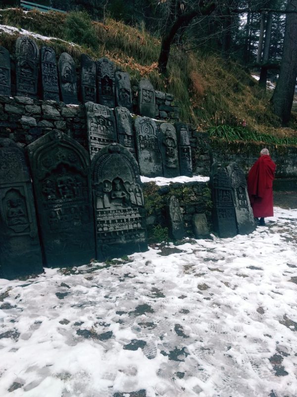 Manali Honeymoon Volvo Package - Image 2
