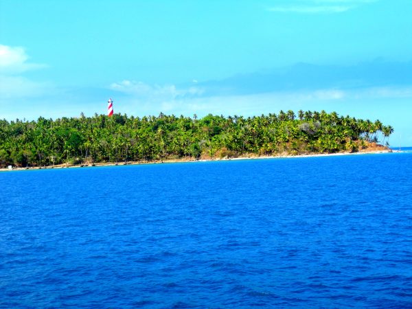 Andaman Highlights Tour - Image 6