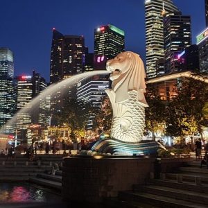 Singapore Delight