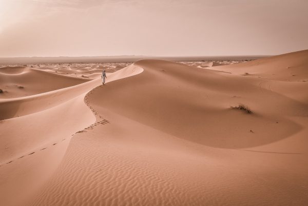Golden Triangle with Rajasthan - Image 9