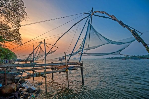 One Week in Kerala - Image 2