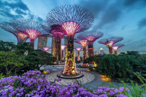 Singapore Explorer - Image 5
